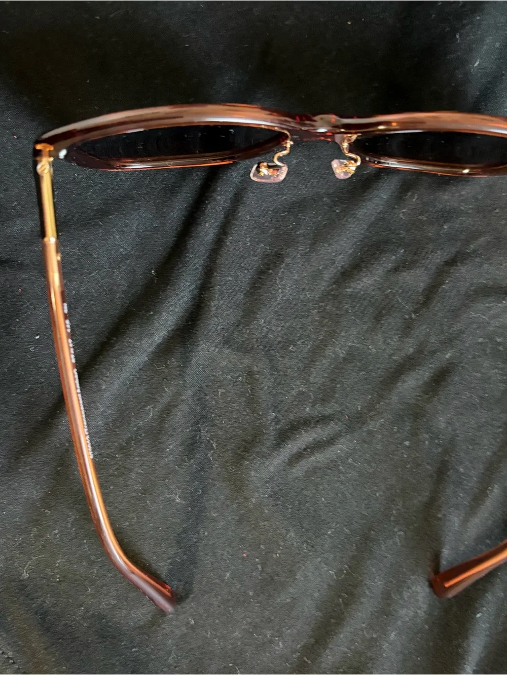 COACH Coach C9206 8345 Sunglasses Transparent Amber